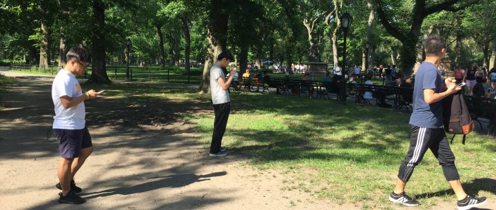 グループではなくあくまでソロ