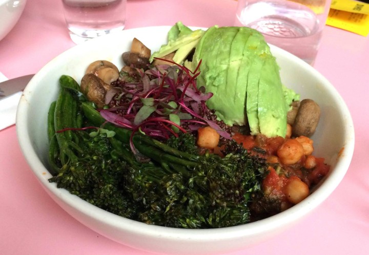 12776892_10208820297091137_959977136_o